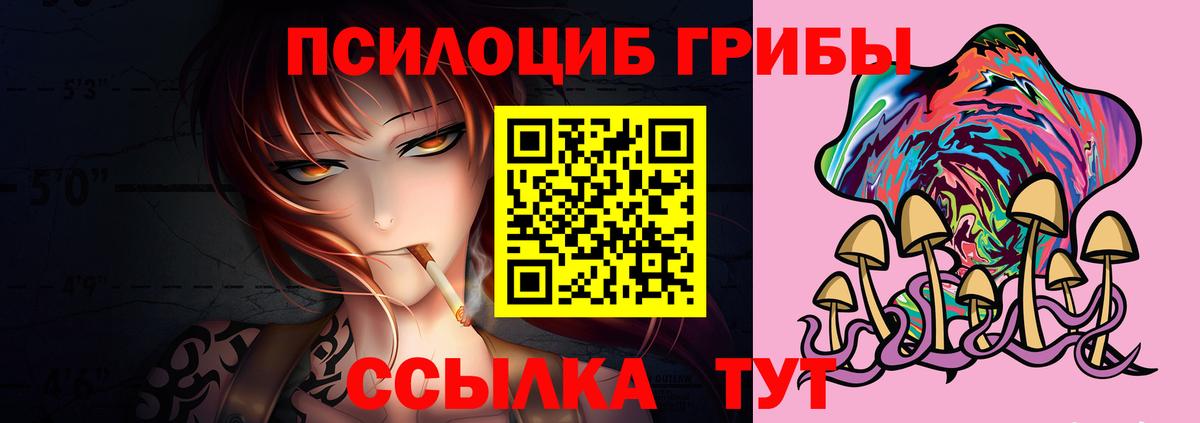 Псилоцибиновые грибы мицелий Новоалександровск