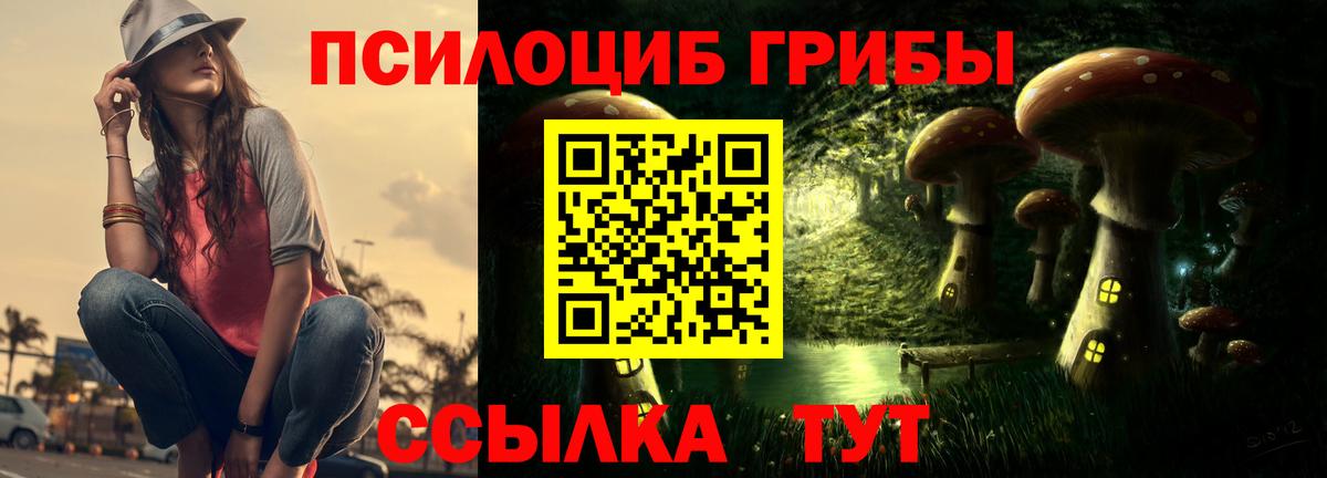 Галлюциногенные грибы прущие грибы  Вход с VPN  Новоалександровск 